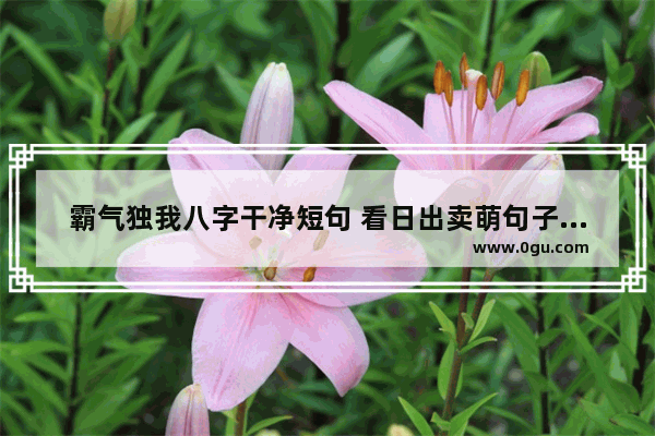 霸气独我八字干净短句 看日出卖萌句子搞笑