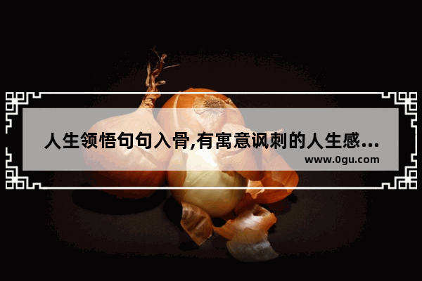 人生领悟句句入骨,有寓意讽刺的人生感悟句子
