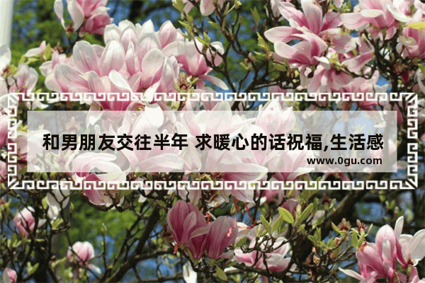 和男朋友交往半年 求暖心的话祝福,生活感情都很累的句子说说