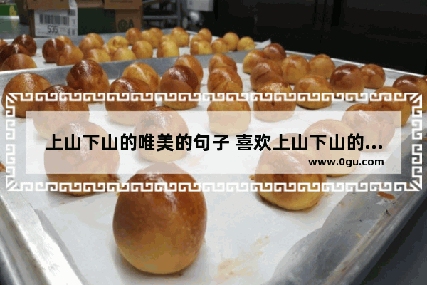上山下山的唯美的句子 喜欢上山下山的句子有哪些