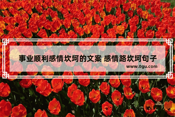 事业顺利感情坎坷的文案 感情路坎坷句子