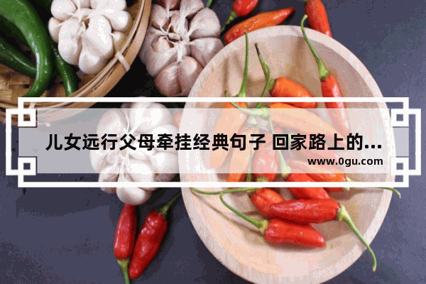 儿女远行父母牵挂经典句子 回家路上的喜悦心情句子