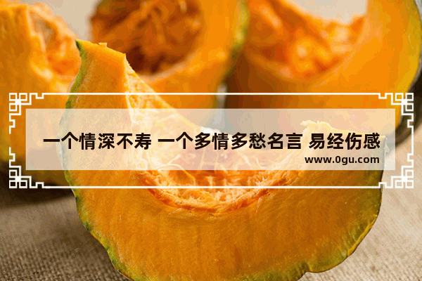 一个情深不寿 一个多情多愁名言 易经伤感句子