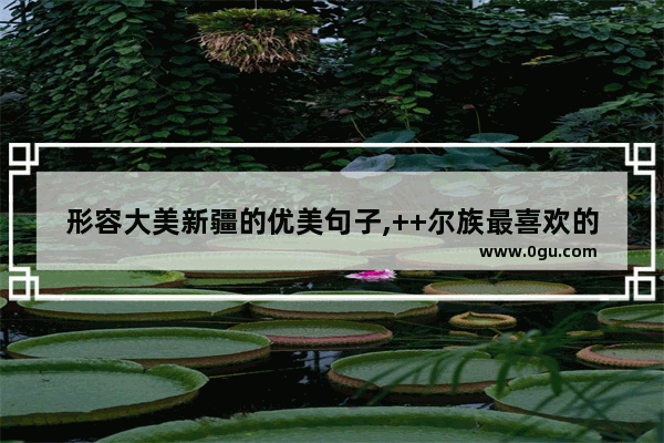 形容大美新疆的优美句子,++尔族最喜欢的经典句子