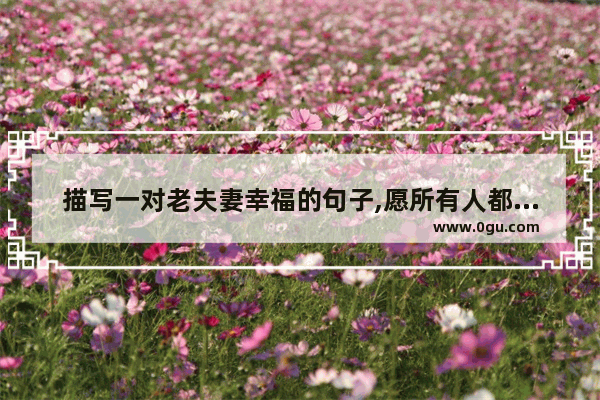描写一对老夫妻幸福的句子,愿所有人都得到幸福的句子
