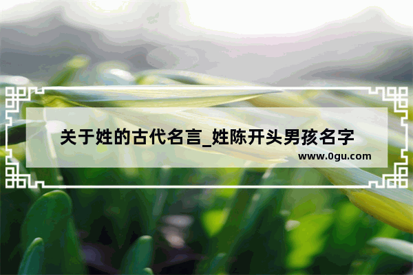 关于姓的古代名言_姓陈开头男孩名字