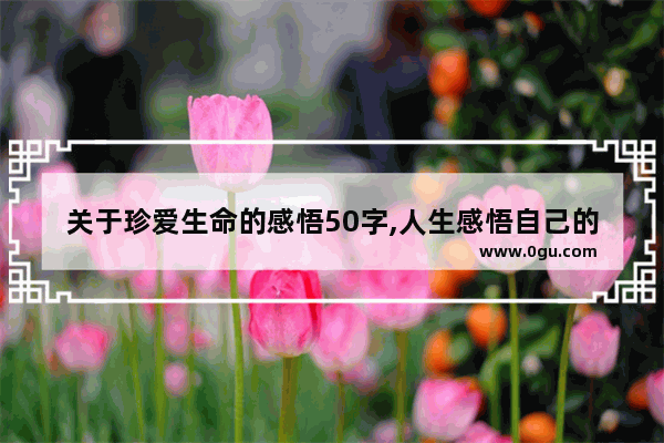 关于珍爱生命的感悟50字,人生感悟自己的句子50字