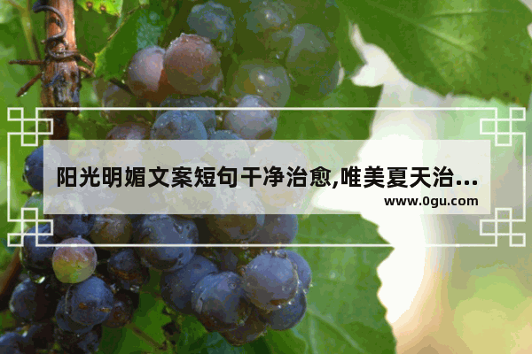 阳光明媚文案短句干净治愈,唯美夏天治愈句子
