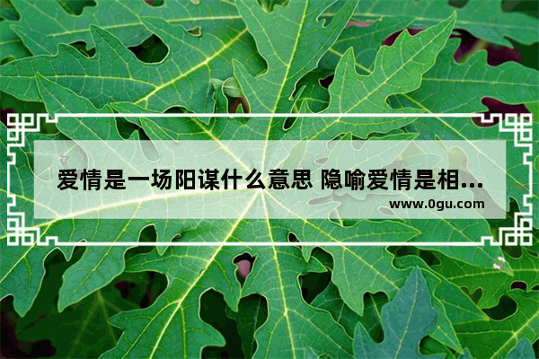 爱情是一场阳谋什么意思 隐喻爱情是相互的句子说说