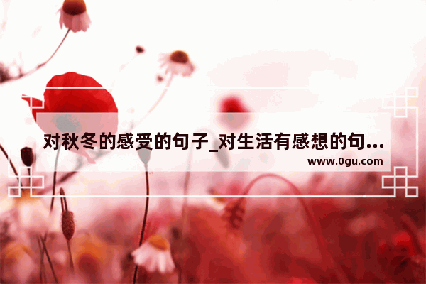 对秋冬的感受的句子_对生活有感想的句子短句