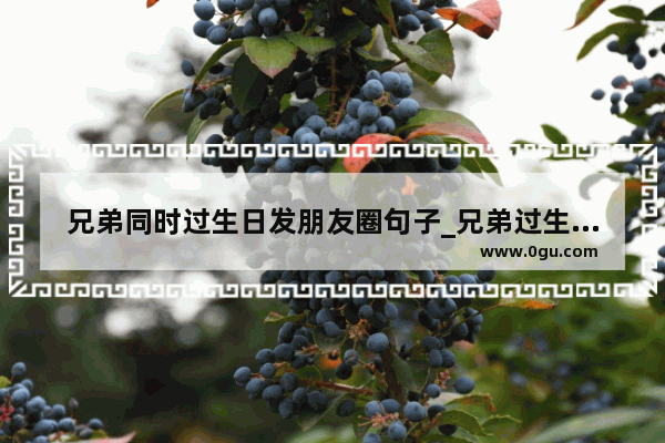 兄弟同时过生日发朋友圈句子_兄弟过生日邀请朋友怎么发朋友圈