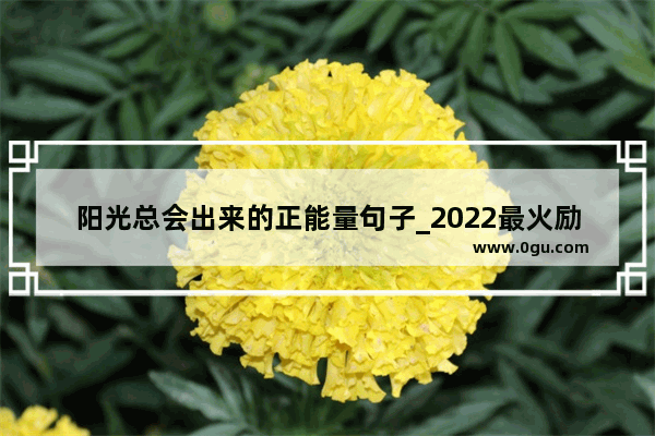 阳光总会出来的正能量句子_2022最火励志句子女人正能量