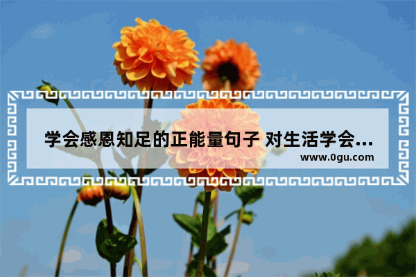 学会感恩知足的正能量句子 对生活学会感恩的优美句子