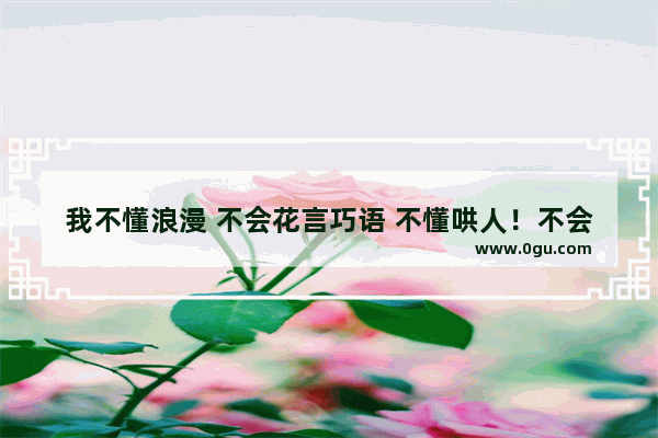 我不懂浪漫 不会花言巧语 不懂哄人！不会察言观色！就是喜欢她 求告白台词 喜欢王靖雯不胖的句子