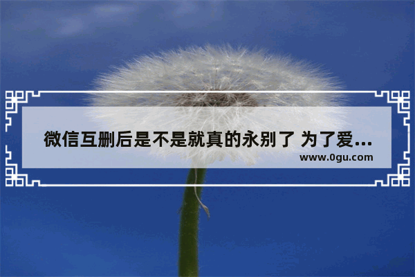 微信互删后是不是就真的永别了 为了爱情抛弃友情说说句子