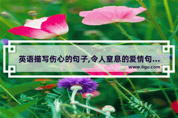 英语描写伤心的句子,令人窒息的爱情句子英文