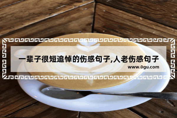 一辈子很短追悼的伤感句子,人老伤感句子
