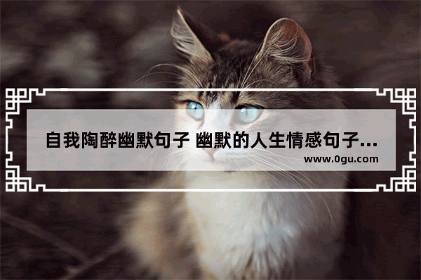 自我陶醉幽默句子 幽默的人生情感句子说说