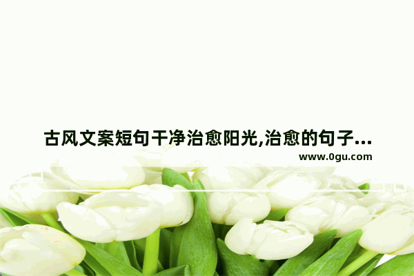 古风文案短句干净治愈阳光,治愈的句子古风唯美