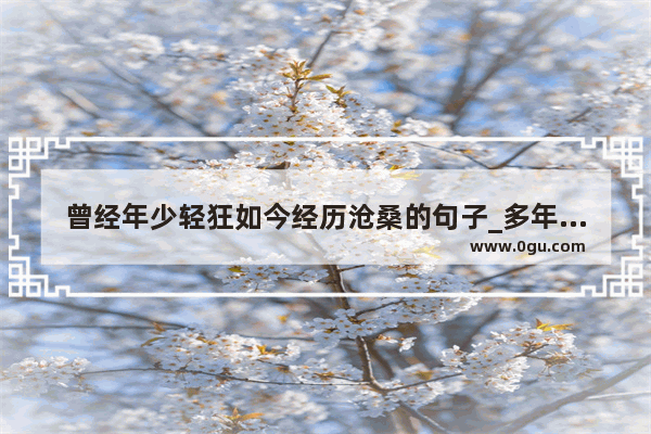 曾经年少轻狂如今经历沧桑的句子_多年的沧桑让人产生变化的语句