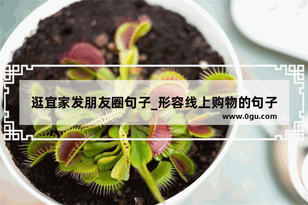 逛宜家发朋友圈句子_形容线上购物的句子