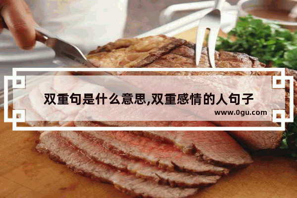 双重句是什么意思,双重感情的人句子