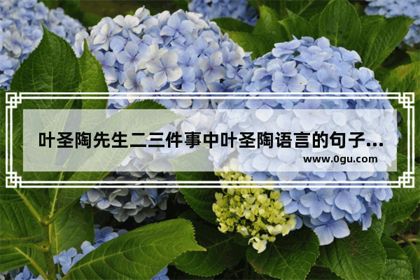 叶圣陶先生二三件事中叶圣陶语言的句子写叶圣陶的品格,叶圣陶感情的句子