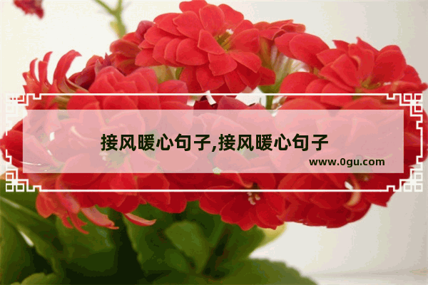 接风暖心句子,接风暖心句子