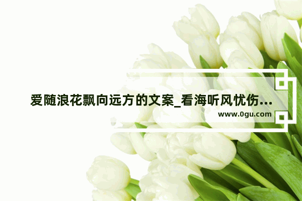 爱随浪花飘向远方的文案_看海听风忧伤的句子