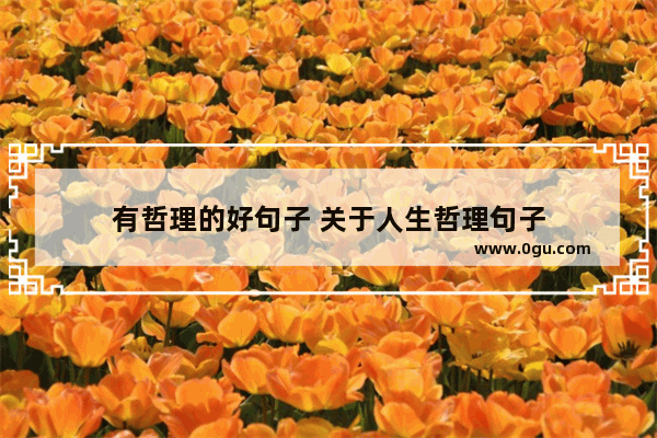 有哲理的好句子 关于人生哲理句子