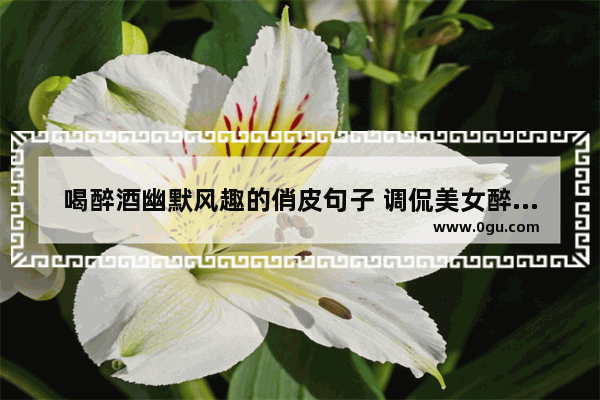 喝醉酒幽默风趣的俏皮句子 调侃美女醉酒的搞笑句子