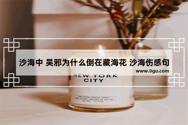 沙海中 吴邪为什么倒在藏海花 沙海伤感句子