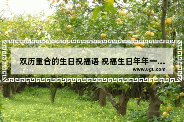 双历重合的生日祝福语 祝福生日年年一起的句子