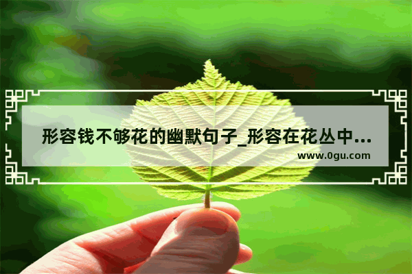 形容钱不够花的幽默句子_形容在花丛中的心情句子
