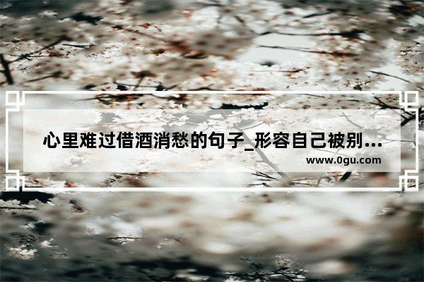 心里难过借酒消愁的句子_形容自己被别人消遣的句子