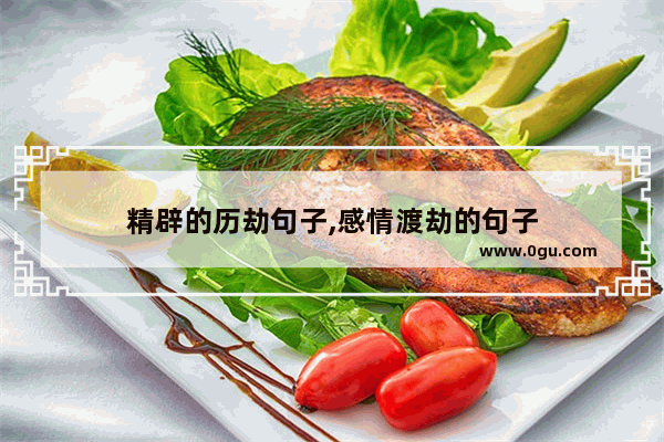 精辟的历劫句子,感情渡劫的句子