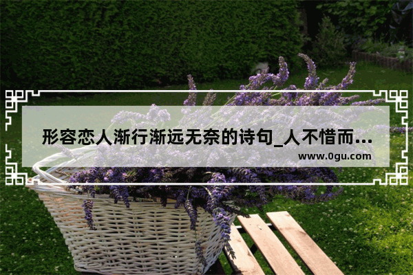 形容恋人渐行渐远无奈的诗句_人不惜而散的伤感句子