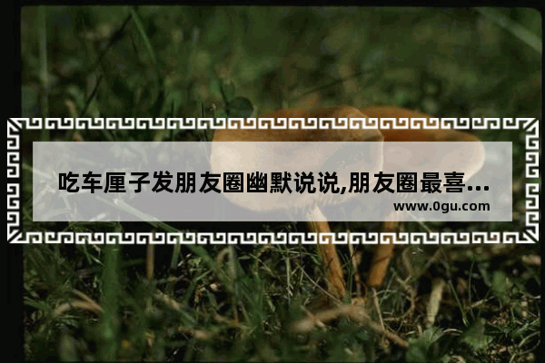吃车厘子发朋友圈幽默说说,朋友圈最喜欢的搞笑句子