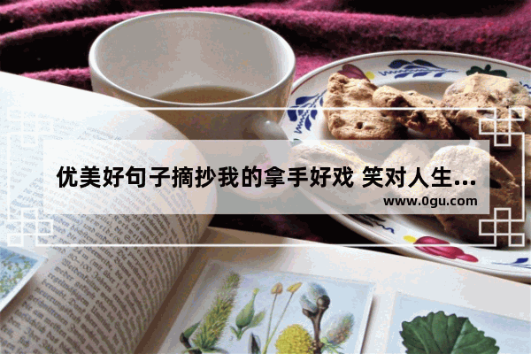 优美好句子摘抄我的拿手好戏 笑对人生的名言句子