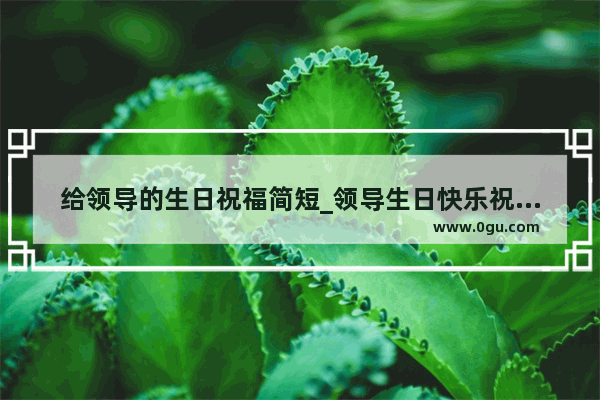 给领导的生日祝福简短_领导生日快乐祝福短句