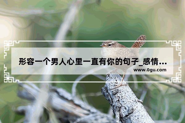 形容一个男人心里一直有你的句子_感情积累的句子