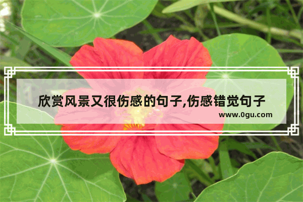 欣赏风景又很伤感的句子,伤感错觉句子