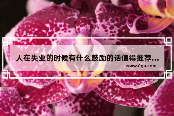 人在失业的时候有什么鼓励的话值得推荐 鼓励笑对人生的句子