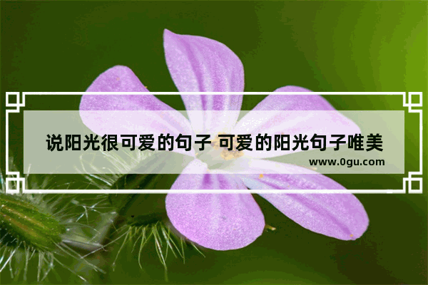 说阳光很可爱的句子 可爱的阳光句子唯美