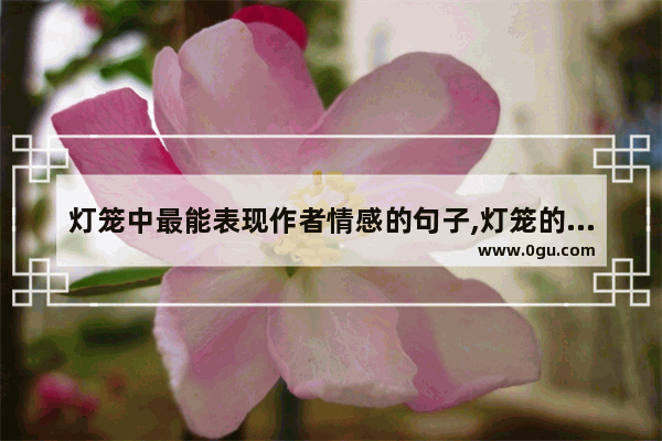 灯笼中最能表现作者情感的句子,灯笼的唯美结尾句子