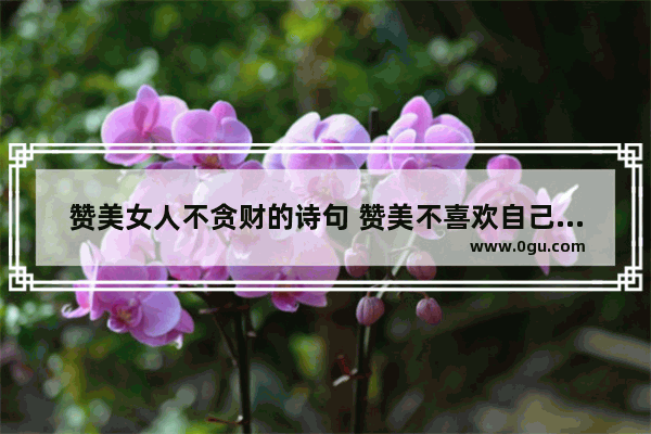 赞美女人不贪财的诗句 赞美不喜欢自己的诗句句子