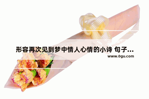 形容再次见到梦中情人心情的小诗 句子也行 有哪些_曾经谈爱情的句子说说心情