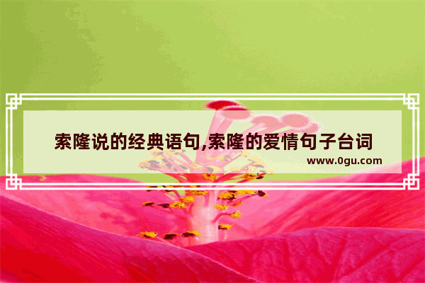 索隆说的经典语句,索隆的爱情句子台词