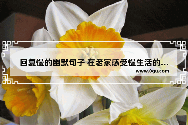 回复慢的幽默句子 在老家感受慢生活的句子