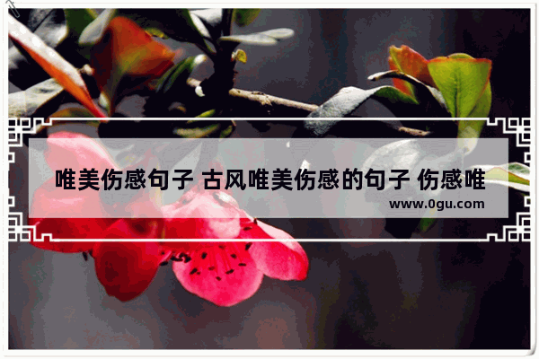 唯美伤感句子 古风唯美伤感的句子 伤感唯美的短句子_伤感、唯美的古风句子